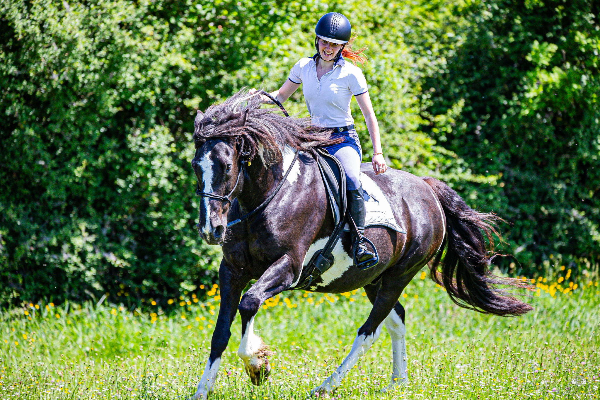 equinaee (46)