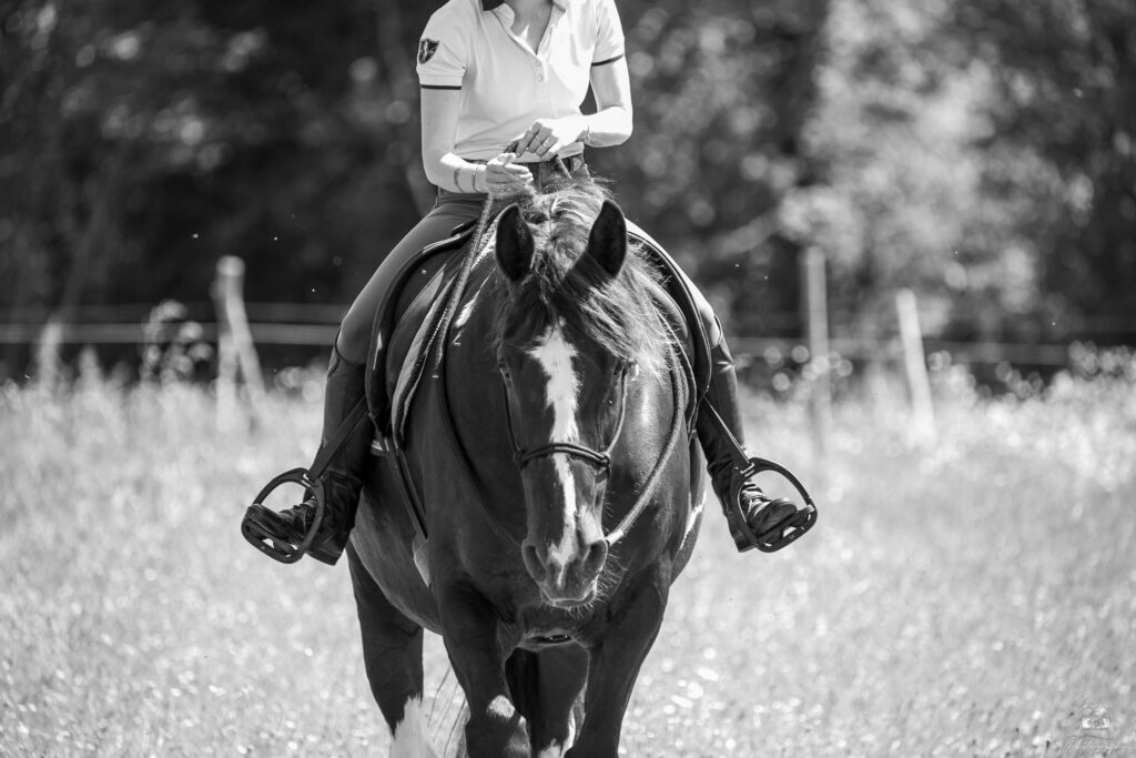 equinaee (57)